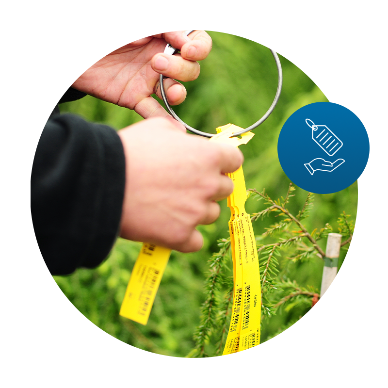 header-etikettendruck