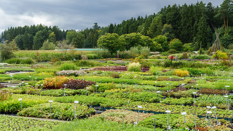 linkbild-software-fuer-staudengaertner