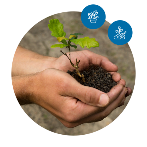 software-fuer-die-gruene-branche-1